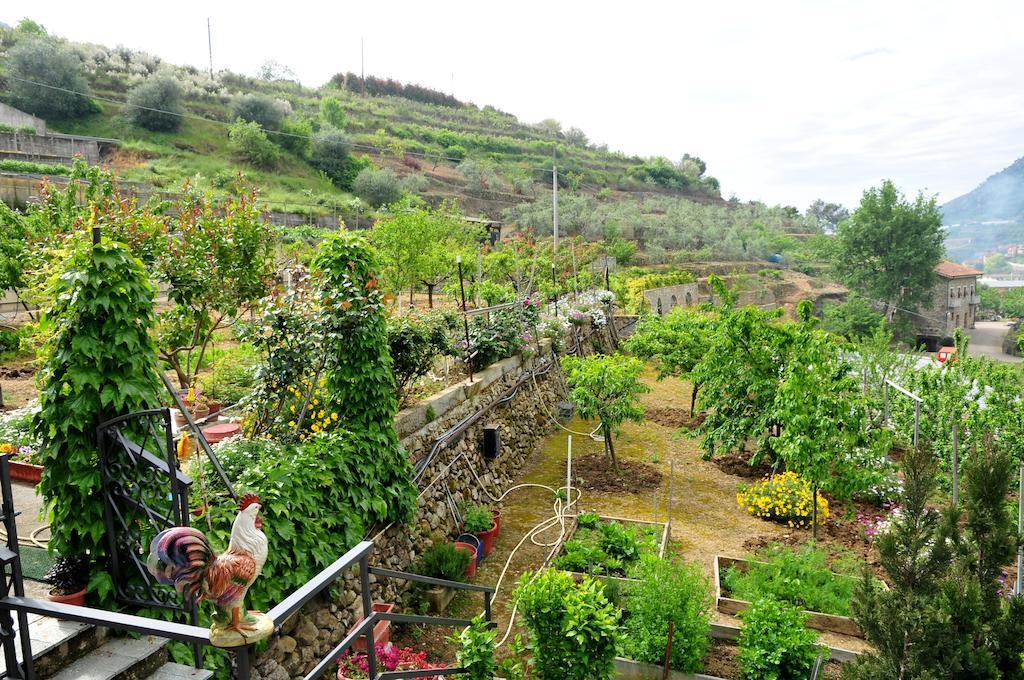 Le Rose Villa San Biagio della Cima ภายนอก รูปภาพ