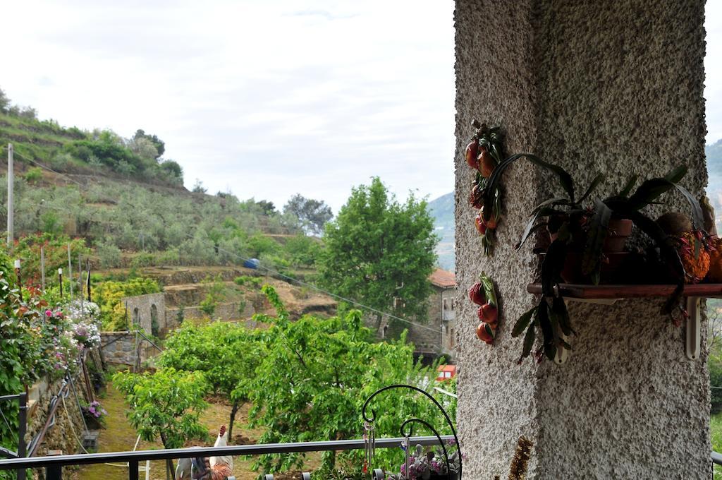Le Rose Villa San Biagio della Cima ภายนอก รูปภาพ